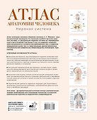 Атлас анатомии человека. Нервная система - 1