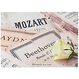 Тетрадь для нот Listoff, "Нежная классика", А4, 16 листов