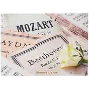 Тетрадь для нот Listoff, "Нежная классика", А4, 16 листов