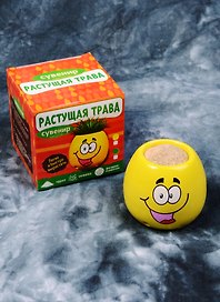 Сувенир растущая травка Смайлик (5х6х6 см) (1675460)