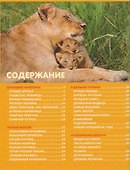 Эти удивительные детёныши животных. Детская энциклопедия - 1