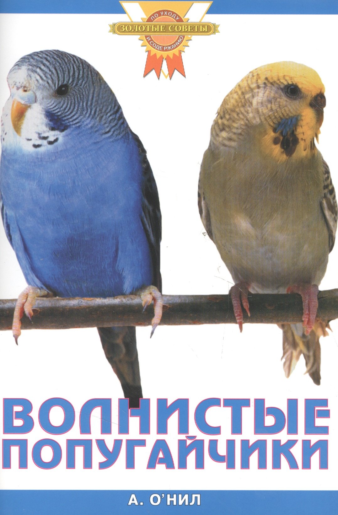 

Волнистые попугайчики