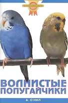 Волнистые попугайчики