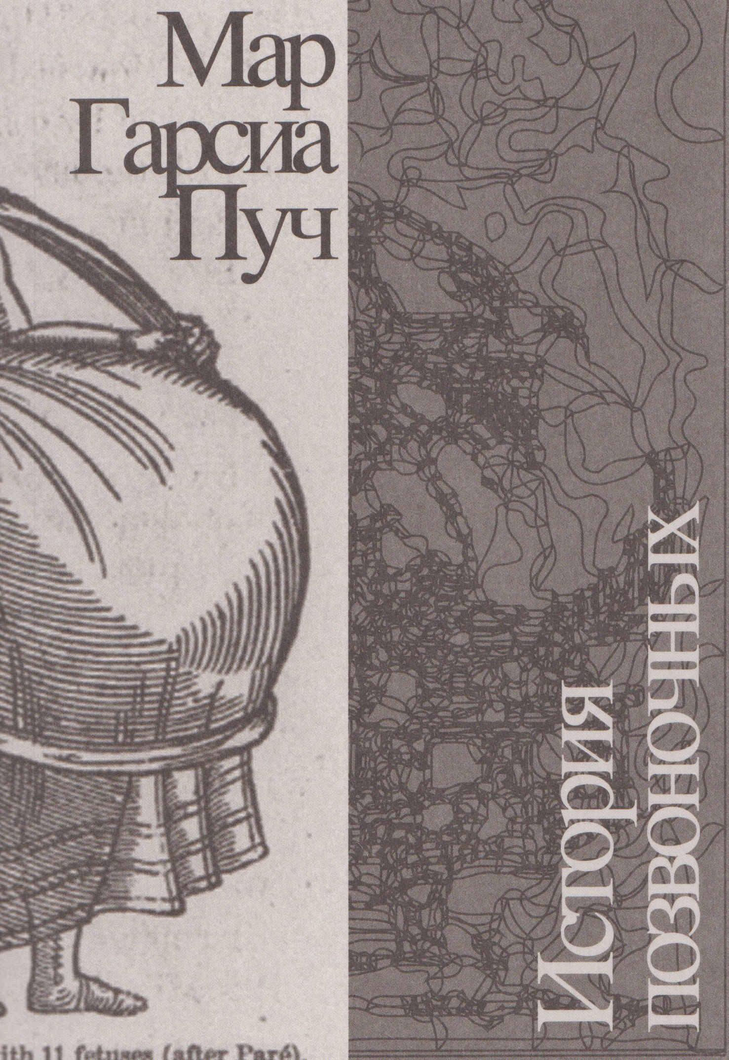 

История позвоночных