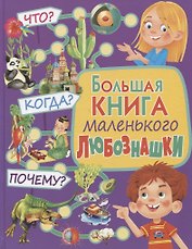 Большая книга маленького любознашки. Что? Когда? Почему?