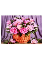 Алмазная мозаика квадратная 30х40 (класс.)  (30 цв.) Розовые пионы в большой корзине. ( Арт. F4-029)