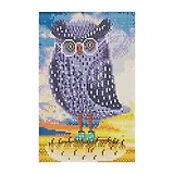 Алмазная мозаика (класс) Милая совушка (AC22096) (22х32см) (20цв) (с подр.,с полн.зап.) (Рыжий Кот) (6+) (коробка)