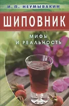 Шиповник: Мифы и реальность