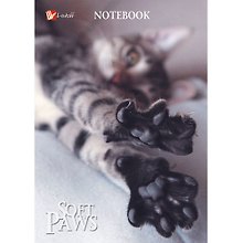 Записная книжка А6 64л кл. "Мягкие лапки (кошка)" 7БЦ, глянц.ламинация, бел.блок, Listoff