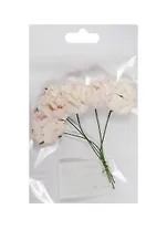 Гвоздики, набор 5шт, d=2,5см, бело-розовые