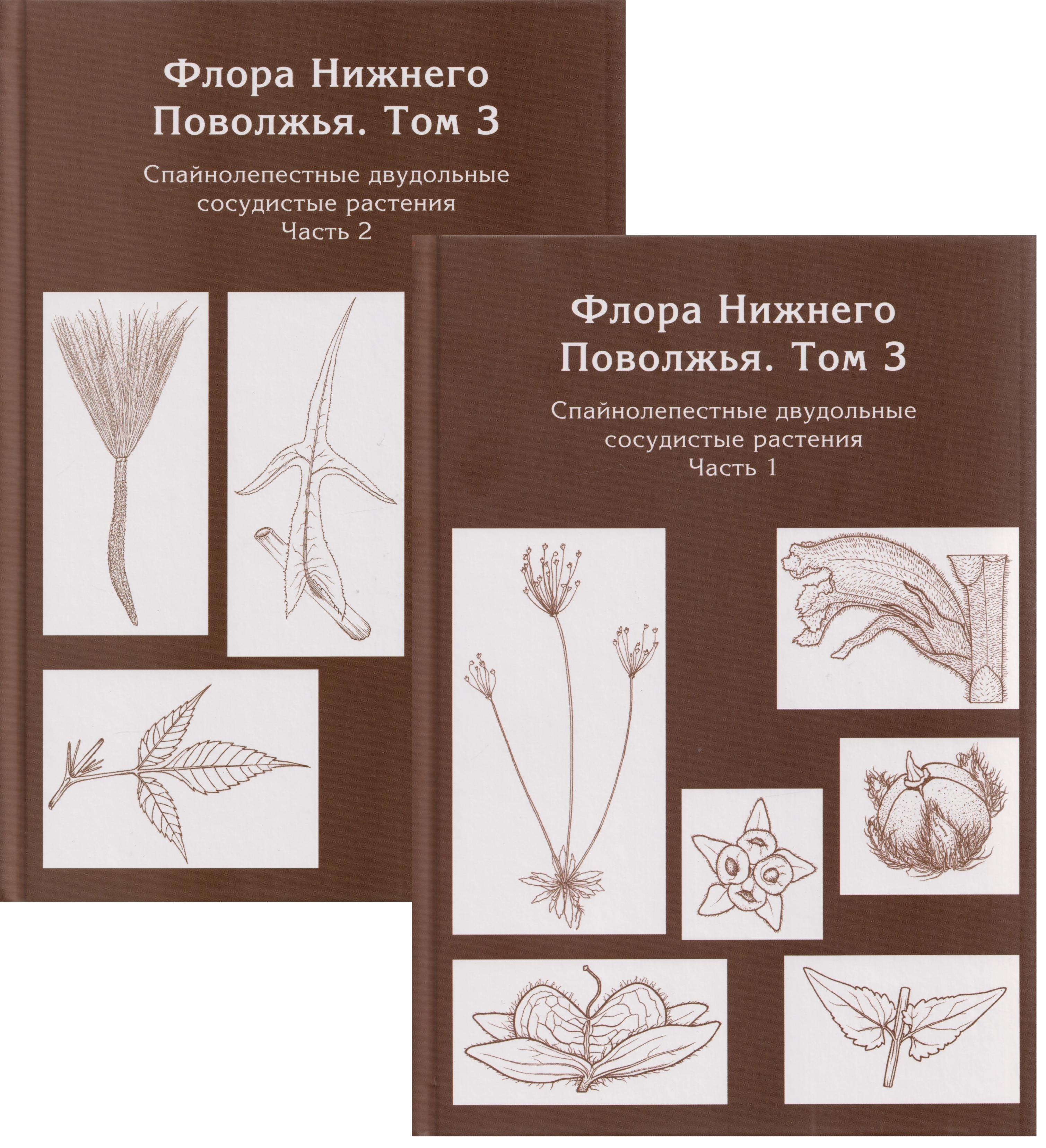 

Флора Нижнего Поволжья. Том 3. В 2-х частях (комплект из 2-х книг)
