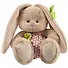 Мягкая игрушка Зайка Ми с лягушонком (15см) - 0
