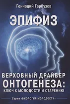 Эпифиз – верховный драйвер онтогенеза: ключ к молодости и старению