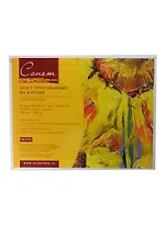 Холст на картоне 18*24 100%хлопок, 280г/м2, Сонет