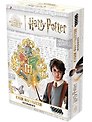 Гарри Поттер: Кубок факультетов