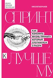 Спринт к лучшему. Как изменить жизнь примату, который споткнулся о разум