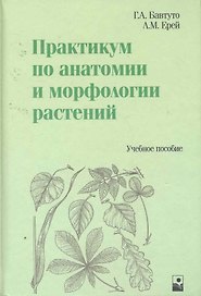 Практикум по анатомии и морфологии растений: Учеб. пособие / Бавтуто Г., Ерей Л. (Маритан-Н)