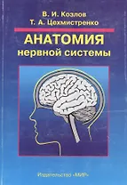 Анатомия нервной системы