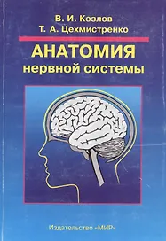 Анатомия нервной системы