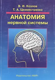 Анатомия нервной системы