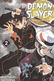 Demon Slayer: Kimetsu no Yaiba. Vol. 2