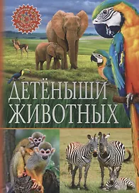 Детёныши животных