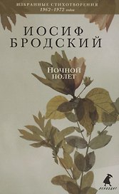 Ночной полет. Стихотворения