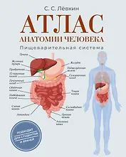 Атлас анатомии человека. Пищеварительная система