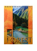 Блокнот А5 40л кл. "Landscapes" карт.обл., гребень, ассорти, БиДжи