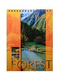 Блокнот А5 40л кл. "Landscapes" карт.обл., гребень, ассорти, БиДжи