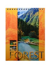 Блокнот А5 40л кл. "Landscapes" карт.обл., гребень, ассорти, БиДжи