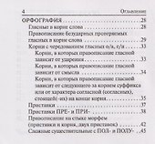 Русский язык. 9 класс. ОГЭ. Карманный справочник - 2