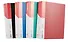 Папка 80ф А4 ассорти, GoodMark - 0