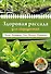 Здоровая рассада для сверхурожая - 0