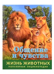 Общение и чувства