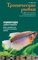 Тропические рыбки