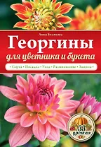 Георгины  для цветника и букета
