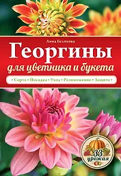 Георгины  для цветника и букета