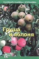 Груша и яблоня (мКалендСадОгор) Бурова