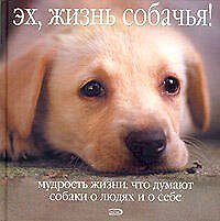 Эх, жизнь собачья! Мудрость жизни: Что думают собаки о людях и о себе