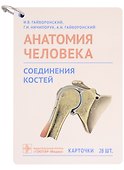 Анатомия человека. Соединения костей. Карточки: наглядное учебное пособие (28 двусторонних карточек) - 0