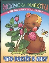Что растет в лесу