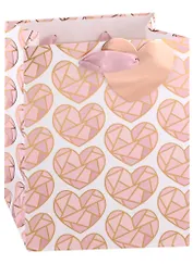 Пакет А5 23*18*10 "Shining hearts" жен., бум.мат.ламинат 