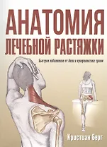 Анатомия лечебной растяжки: быстрое избавление от боли и профилактика травм