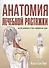 Анатомия лечебной растяжки: быстрое избавление от боли и профилактика травм - 0