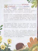 Три Медведя в дополненной реальности - 1