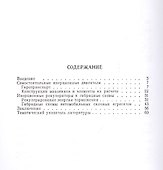 Инерционные двигатели для автомобилей - 1
