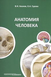 Анатомия человека. 3-е изд., перераб. и доп.