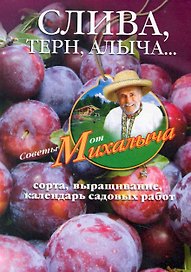 Слива, терн, алыча... Сорта, выращивание, календарь садовых работ