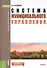 Система муниципального управления - 1